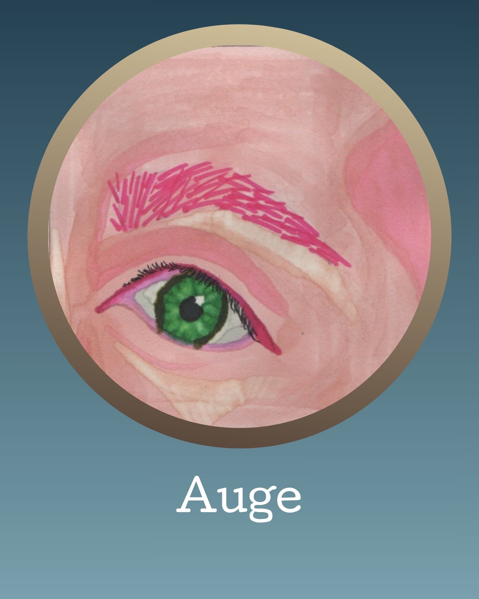 Auge