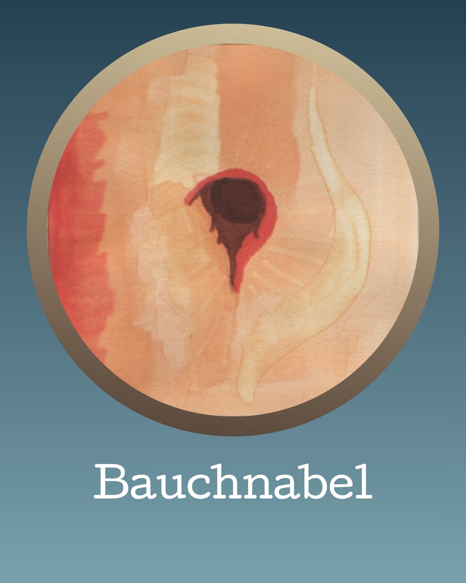 Bauchnabel