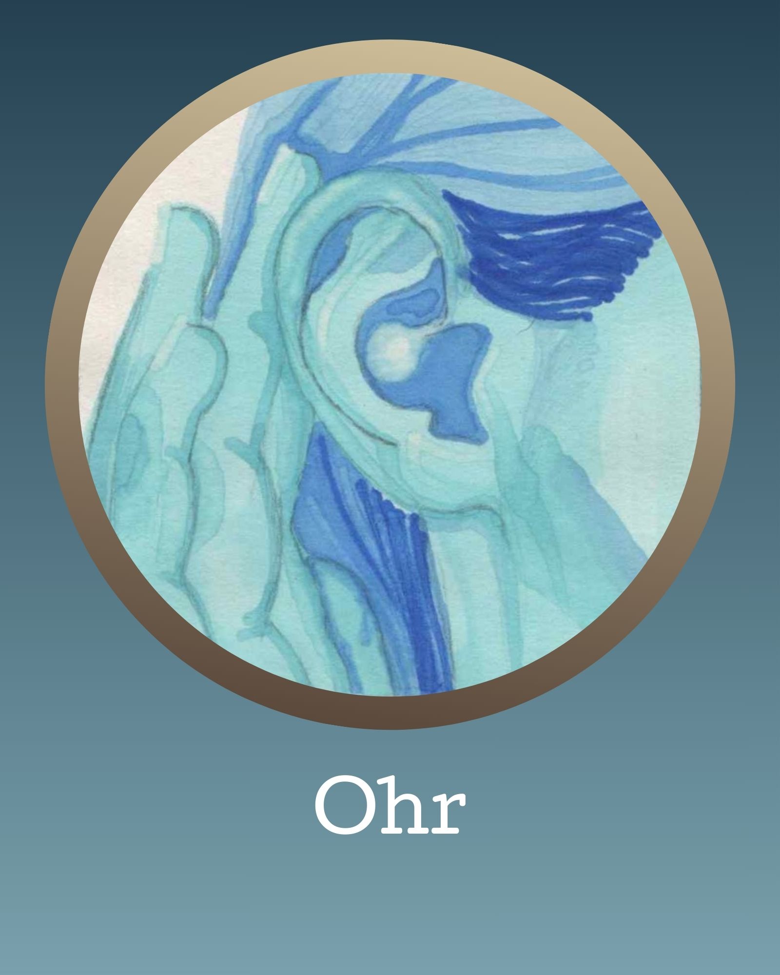 Ohr